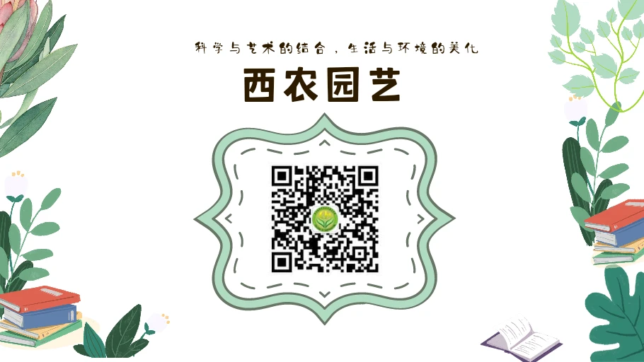 哪里可以找到有效的篮球进步训练计划?_0